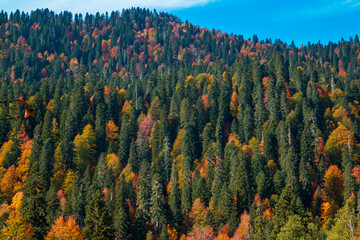 Mountain pass Pyv in Abkhazia. Magnificent autumn landscape.