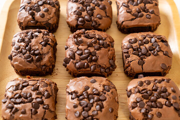dark chocolate brownies topped by chocolate chips