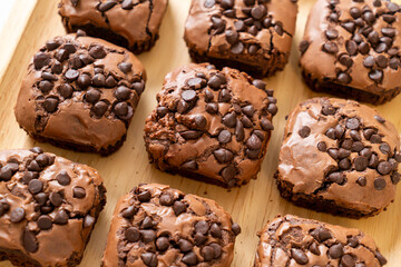 dark chocolate brownies topped by chocolate chips