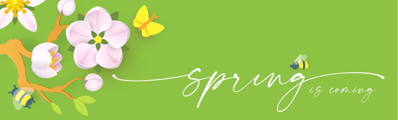 Spring background with soft flowers, bees and butterflies. Spring is coming design with apple and cherry blossom branch
