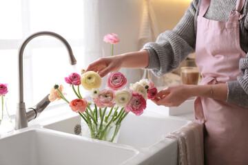 Woman taking care of cut fresh ranunculus flowers in kitchen, closeup