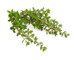 twig of thyme isolated on white background