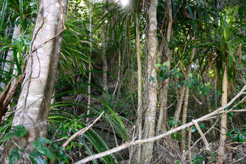 Australien Ostküste