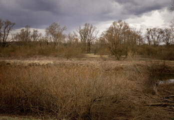 Chaszcze © Rafal Kopec Photo 