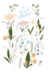 Fototapeta na wymiar Vector delicate wildflowers, invitation card. Romantic. Botanical.