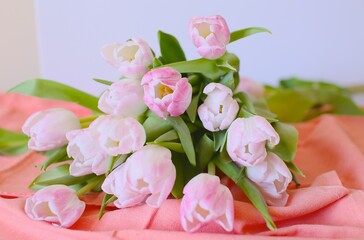 bouquet of white-pink tulips on a bright pink background