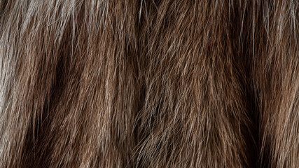Naklejka premium Background from beige fox fur