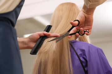 Obraz na płótnie Canvas Stylist cutting hair of client in professional salon, closeup