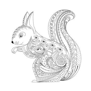 Hand drawn squirrel zentangle style for coloring book,tattoo,t shirt design,logo