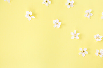 Floral pattern of white spring or summer flowers on yellow background. Copy space for your text. Flat lay style. Top view. Floral background. Pattern of flower buds.