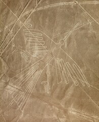 Condor geoglyph Nazca Nazca mysterious lines geoglyph