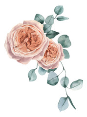 Watercolor hand drawn roses and eucalyptus bouquet.
