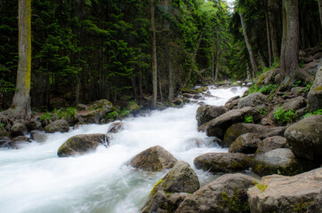Stormy white streams of a mountain river among stones