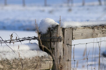 Winterlandschaft
