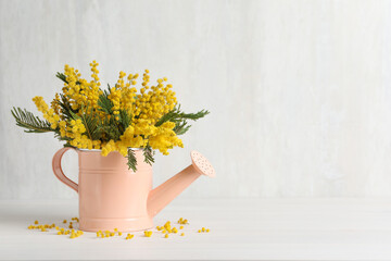 Beautiful mimosa flowers in watering can on white wooden table, space for text