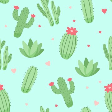 Cute cactus and succulents pattern, vector illustration in flat style