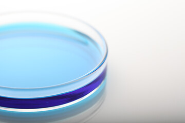 Petri dish with blue liquid in