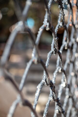 iron bars, fences. close up.