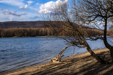 Trees on the river bank on a sunny cloudy day