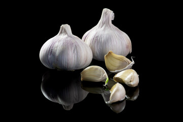Two heads of garlic and four cloves side by side, with a reflection, on a black isolated background. Close-up, copy space