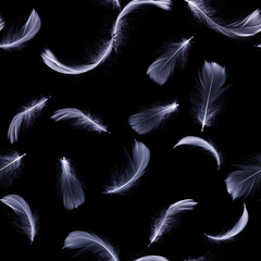 Obraz premium Feather black. White pastel angel feather closeup texture falling on black background for seamless pattern wallpaper. Abstract. Light blue color trends and vintage.
