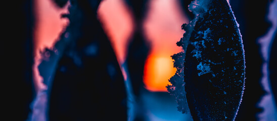 Snow on a metal fence against the background of sunset. Close-up