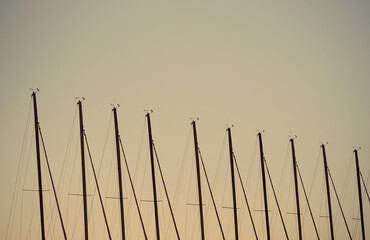 Sailing masts in row during sunset
