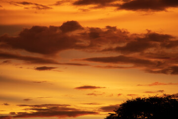 Fototapeta na wymiar Altostratus clouds in golden sunset. Evening Cloudscape.