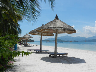 straw umbrellas on the sandy beach