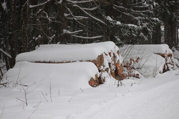 Winter Natur Landschaft