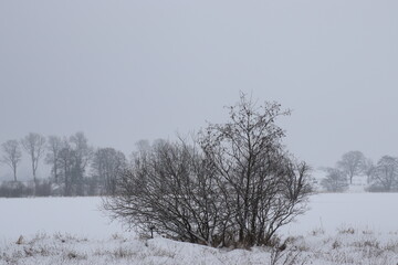 Winter Natur Landschaft