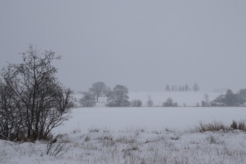 Winter Natur Landschaft