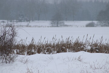 Winter Natur Landschaft