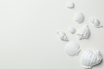 Set of white monochrome assorted seashells on white paper top view. Different white seashells from above, calm and relaxed sea summer beach concept. Spa and resort background, space for text