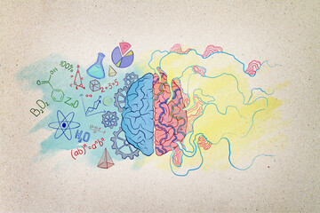 Brainstorming concept with colorful two brain hemispheres handwriting sketch with science and...