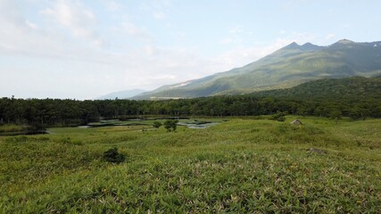 Fototapeta premium 知床 知床五湖 知床半島 北海道 日本 世界遺産 知床国立公園