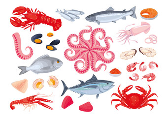 Naklejka premium Collection of various seafood: fish, shellfish, crustaceans, octopus. Healthy fresh sea food. Sea creatures. Vector illustration, cartoon, icons, symbols, signs, stickers, poster, banner