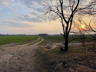 sunset over the river
