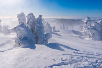 Fototapeta na wymiar Beautiful winter landscape with snow covered trees Jeseniky mountain in czech