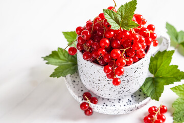 Red currant with leaves in a white ceramic cup on a white background.
