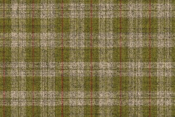 ragged old grungy seamless checkered fabric texture  olive green and beige gingham with red threads for plaid, tablecloths, shirts, tartan, clothes, dresses, bedding, blankets - 420450370
