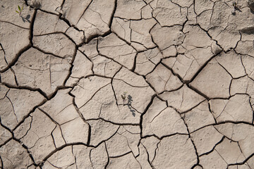 dry earth texture, power of life.