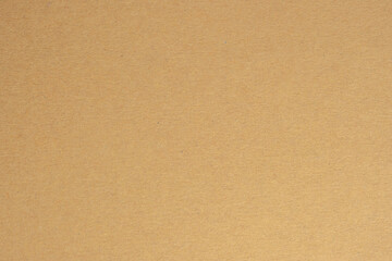 Fototapeta na wymiar Texture of brown craft or kraft paper background, cardboard sheet, recycle paper, copy space for text.