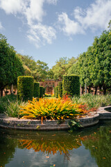 garden in the park beautiful place tree sky flowers summer 