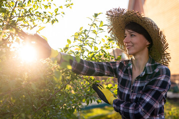 Side view of joyful young caucasian woman gardener cuts unnecessary branches and leaves from a tree...