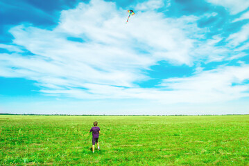 Little boy running in green field and flying rainbow kite high up in blue sky, summer holidays