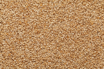 Close-up of Organic White Sesame seeds(Sesamum indicum) or white Til with shell Full-Frame Background. Top View