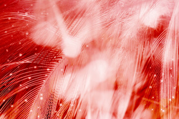 scarlet red feather pattern texture background