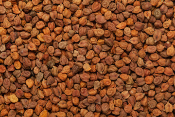 Close up of Organic chana or chickpea (Cicer arietinum) or whole white Bengal gram Full-Frame...