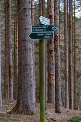 Wohin in der Sächsischen Schweiz?